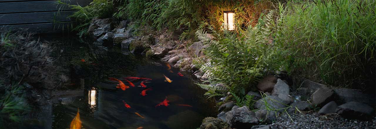 Teich mit Fischen und smarter Gartenbeleuchtung