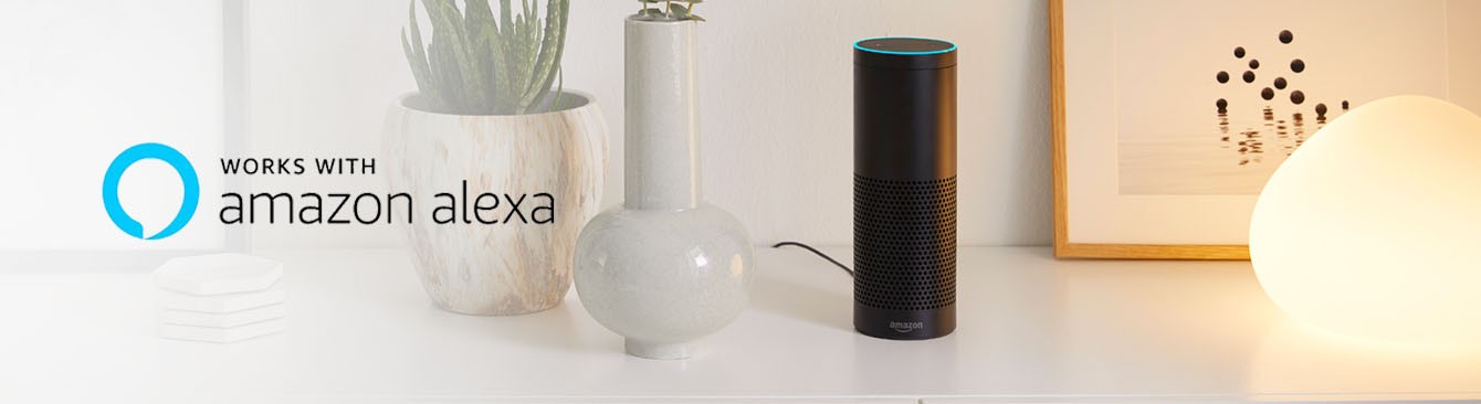 Amazon Alexa Echo auf Sideboard neben Vasen und Philips Hue Smartlampe