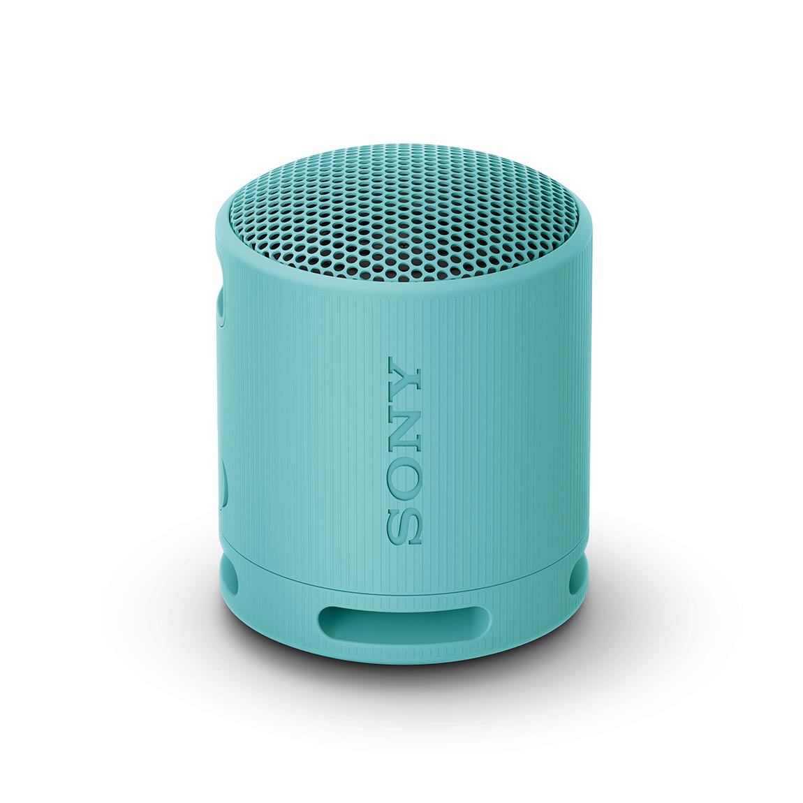 Sony SRS-XB100 - Tragbarer kabelloser Lautsprecher - Blau
