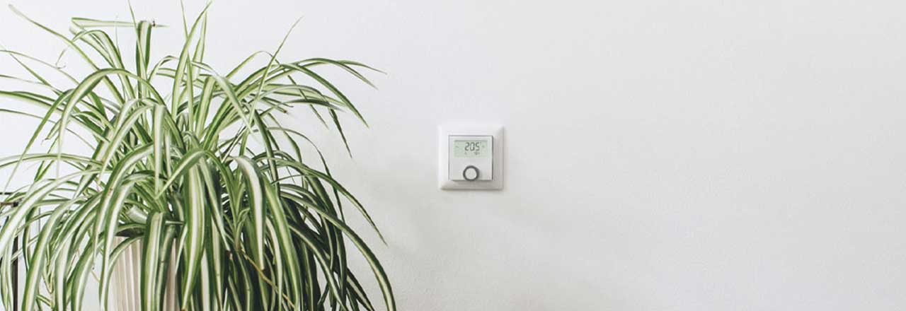 Hier wurde das Bosch Smart Home Raumthermostat an der Wohnzimmerwand neben einer Pflanze montiert.