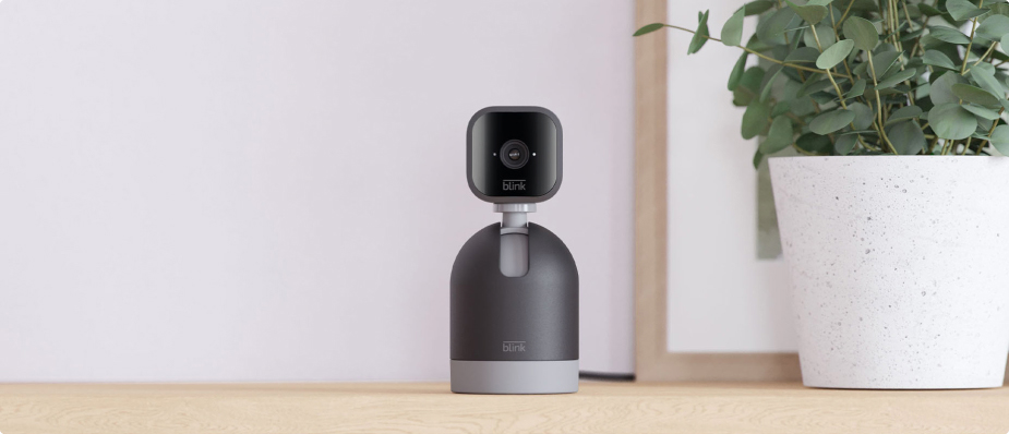 Amazon Blink Mini Pan-Tilt Kamera auf Regalboden neben Zimmerpflanze 