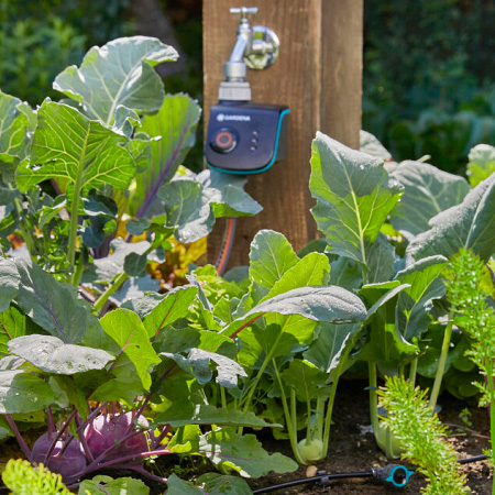 Smart Home Gartenbeleuchtung im Vorgarten
 